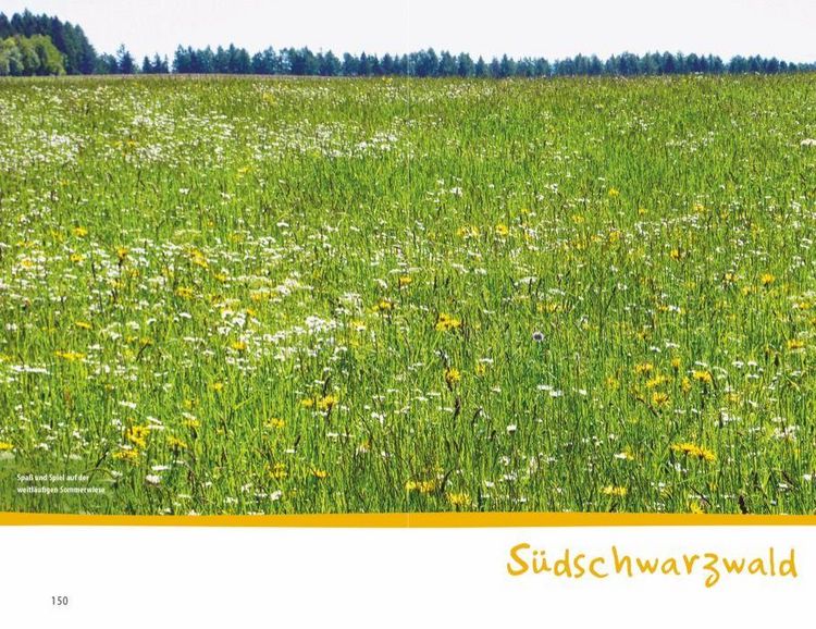 Produktbild: Wanderspa&szlig; mit Kindern &ndash; Schwarzwald