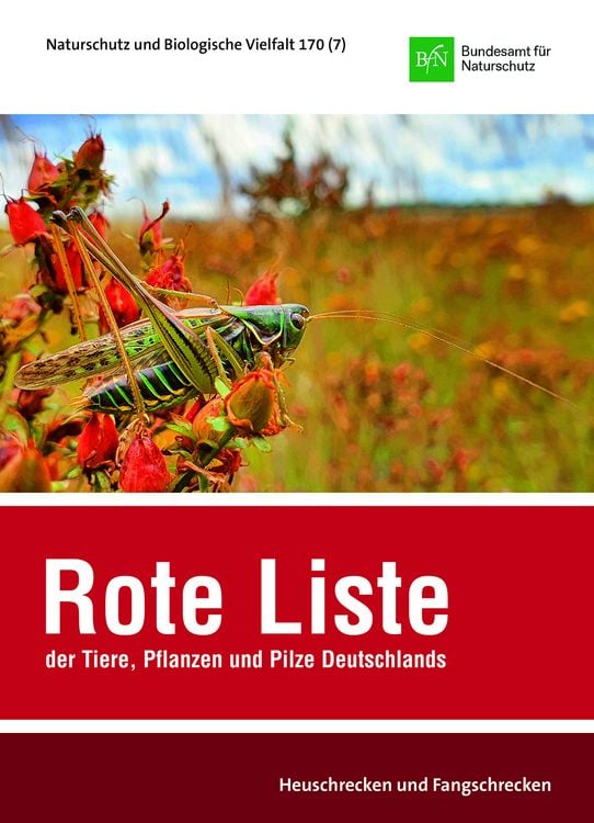 Produktbild: Rote Liste und Gesamtartenliste der Heuschrecken und Fangschrecken (Orthoptera et Mantodea) Deutschlands