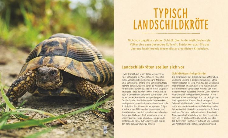 Produktbild: Landschildkr&ouml;ten