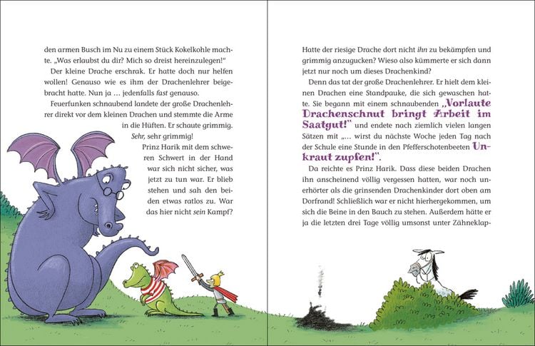Produktbild: Der kleine Raubdrache (Bd. 1)