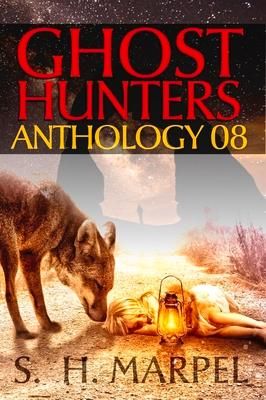 Produktbild: Ghost Hunters Anthology 08