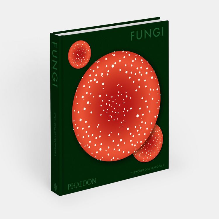 Produktbild: Fungi