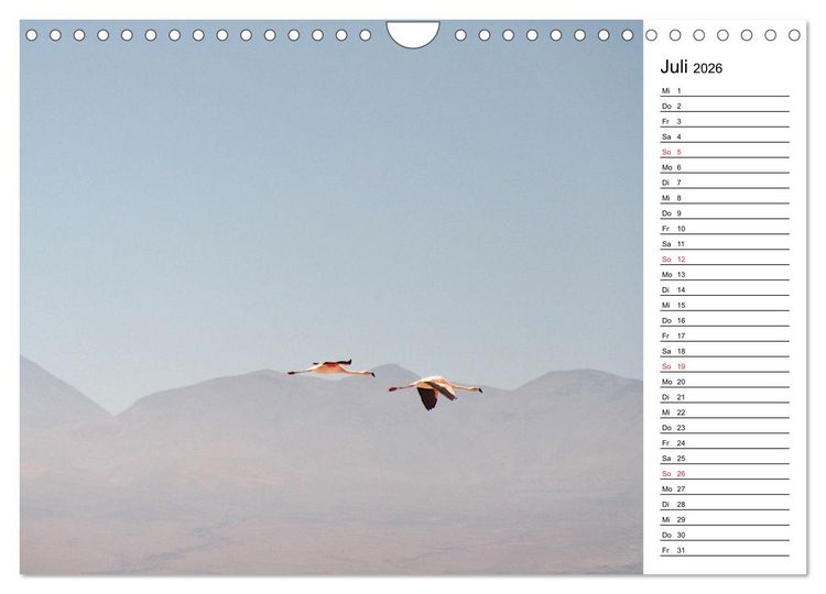Produktbild: Mein Flamingo Planer (Wandkalender 2026 DIN A4 quer), CALVENDO Monatskalender