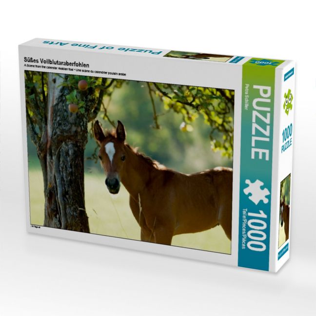 Produktbild: CALVENDO Puzzle S&uuml;&szlig;es Vollblutaraberfohlen 1000 Teile Puzzle quer | 1000 Teile Lege-Gr&ouml;&szlig;e 64 &times; 48 cm Foto-Puzzle f&uuml;r gl&uuml;ckliche Stunden