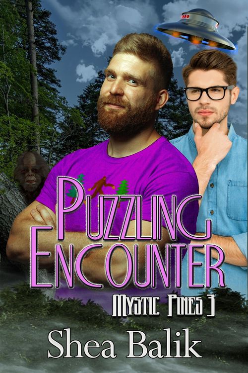 Produktbild: Puzzling Encounter (Mystic Pines, #3)