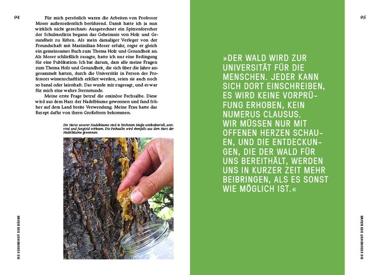 Produktbild: Strategien der Natur
