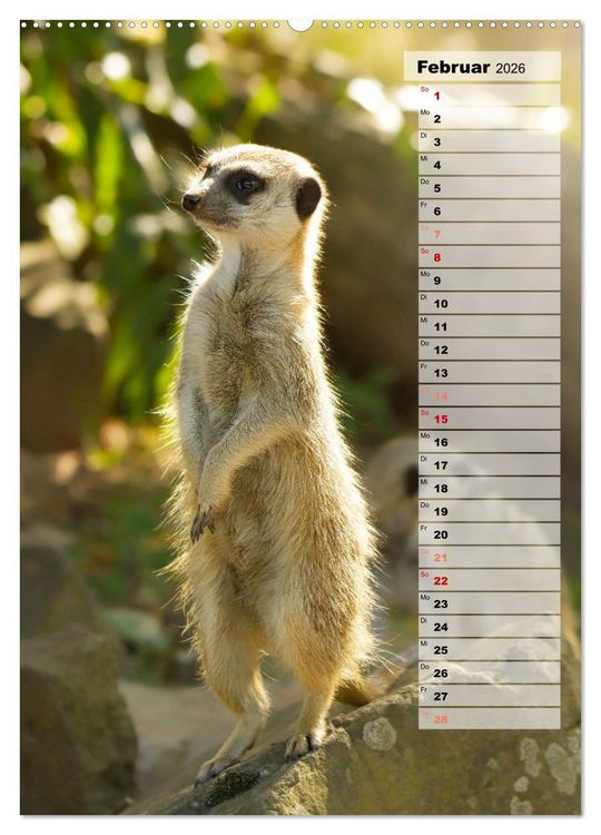 Produktbild: Erdm&auml;nnchen, putzige Kerlchen mit gro&szlig;en Knopfaugen (hochwertiger Premium Wandkalender 2026 DIN A2 hoch), Kunstdruck in Hochglanz