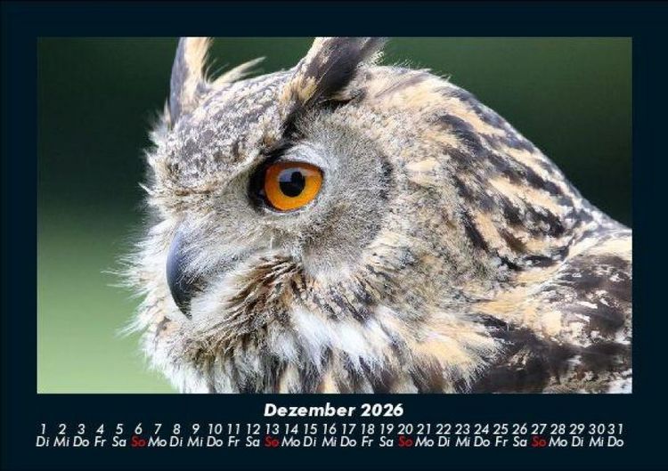 Produktbild: Der Tierkalender 2026 Fotokalender DIN A5