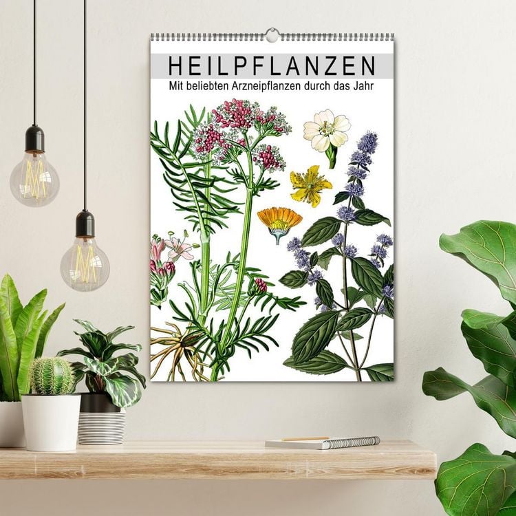 Produktbild: Heilpflanzen (Wandkalender 2026 DIN A2 hoch), CALVENDO Monatskalender