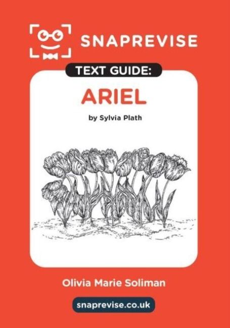 Produktbild: SnapRevise Ariel Text Guide for English Literature