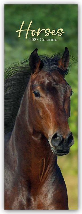 Produktbild: Horses &ndash; Pferde &ndash; Slimline-Kalender 2027