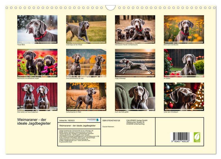 Produktbild: Weimaraner - der ideale Jagdbegleiter (Wandkalender 2026 DIN A3 quer), CALVENDO Monatskalender