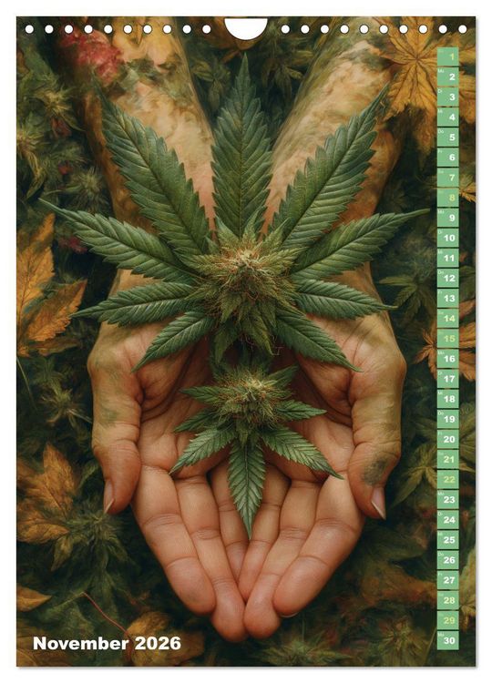 Produktbild: Rauschende Aussichten - Der ultimative Cannabis-Kalender (Wandkalender 2026 DIN A4 hoch), CALVENDO Monatskalender