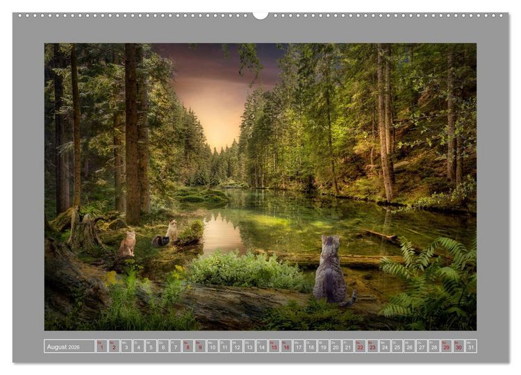 Produktbild: Kleine Streuner (hochwertiger Premium Wandkalender 2026 DIN A2 quer), Kunstdruck in Hochglanz