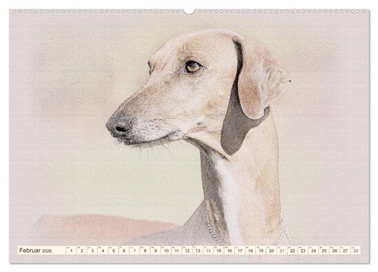 Produktbild: Windhunde 2026 (hochwertiger Premium Wandkalender 2026 DIN A2 quer), Kunstdruck in Hochglanz