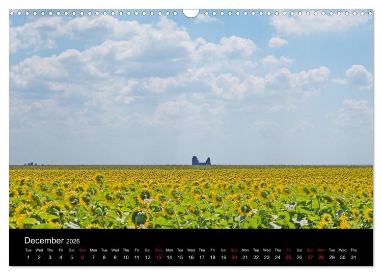 Produktbild: Monuments of Serbia 2026 (Wall Calendar 2026 DIN A3 landscape), CALVENDO 12 Month Wall Calendar