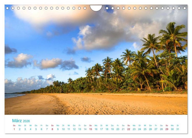 Produktbild: Unter Palmen 2026. Impressionen von den sch&ouml;nsten Str&auml;nden der Welt (Wandkalender 2026 DIN A4 quer), CALVENDO Monatskalender