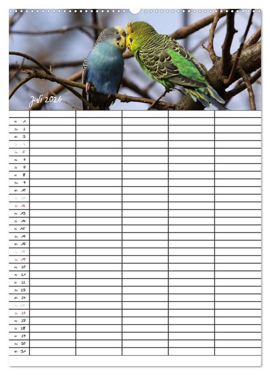 Produktbild: Wellensittiche (Wandkalender 2026 DIN A2 hoch), CALVENDO Monatskalender