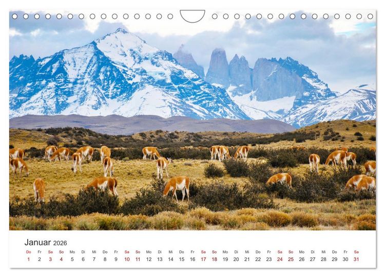Produktbild: Chile - Das langgestreckte Land. (Wandkalender 2026 DIN A4 quer), CALVENDO Monatskalender