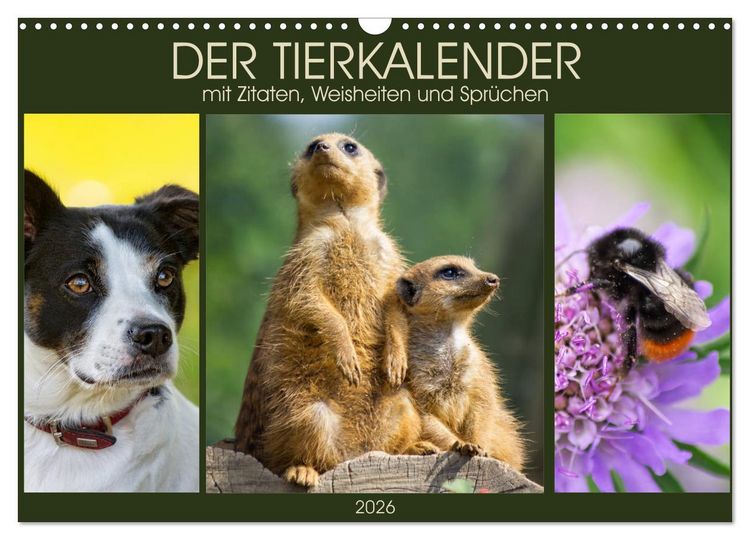 Produktbild: Der Tierkalender mit Zitaten, Weisheiten und Spr&uuml;chen (Wandkalender 2026 DIN A3 quer), CALVENDO Monatskalender