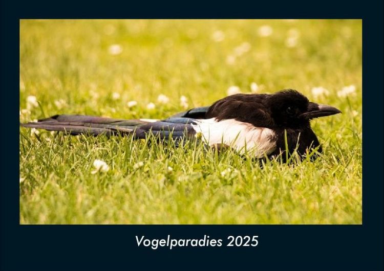 Produktbild: Vogelparadies 2025 Fotokalender DIN A4