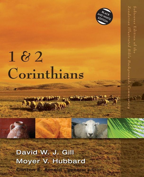 Produktbild: The 1 and 2 Corinthians