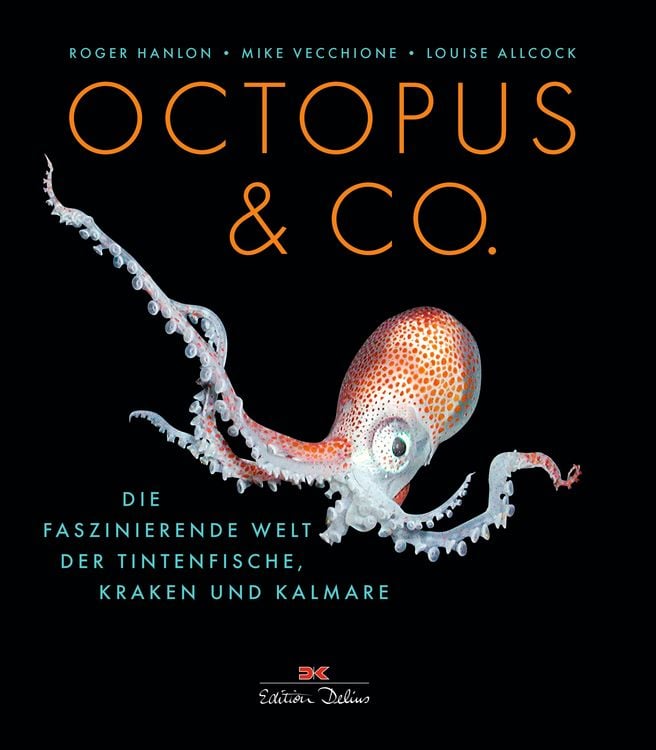 Produktbild: Octopus & Co.