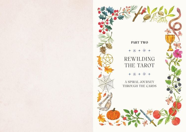 Produktbild: Tarot for the Wild Soul