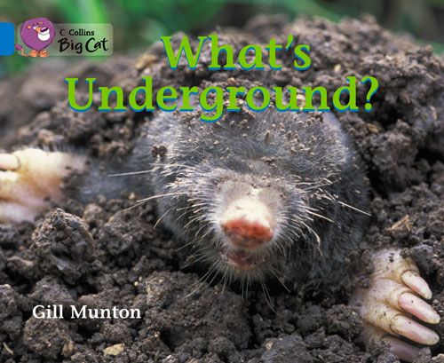 Produktbild: Collins Big Cat Whats Undergro