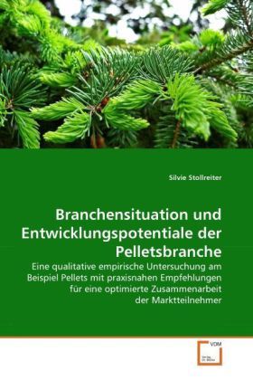 Produktbild: Stollreiter, S: Branchensituation und Entwicklungspotentiale