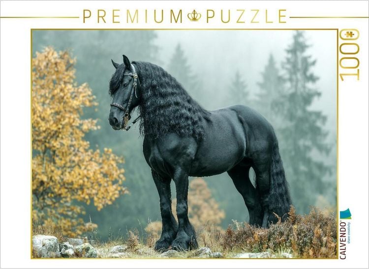 Produktbild: CALVENDO Puzzle Majest&auml;tisches Friesenpferd im Herbstwald | 1000 Teile Lege-Gr&ouml;&szlig;e 64x48cm Foto-Puzzle f&uuml;r gl&uuml;ckliche Stunden