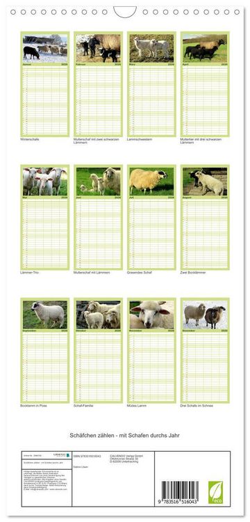 Produktbild: Familienplaner 2026 - Sch&auml;fchen z&auml;hlen - mit Schafen durchs Jahr mit 5 Spalten (Wandkalender, 21 x 45 cm) CALVENDO