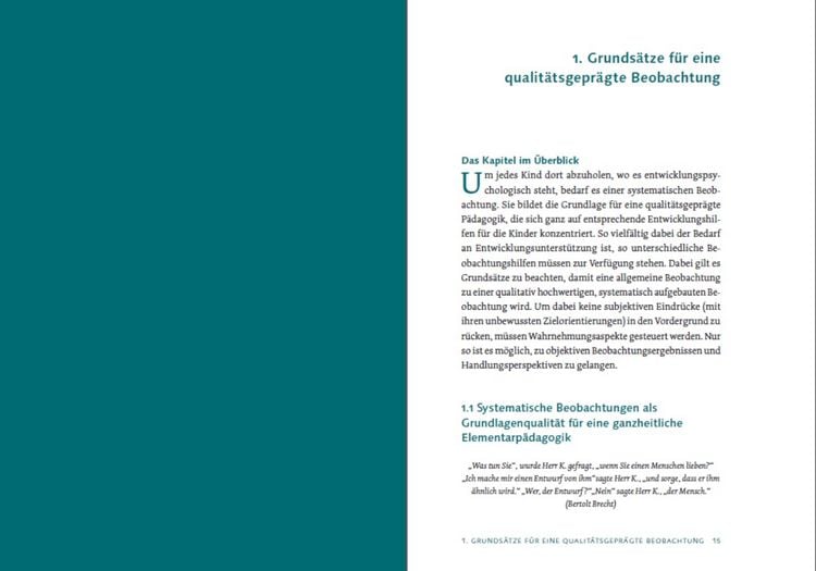 Produktbild: Beobachtung und Entwicklungsdokumentation