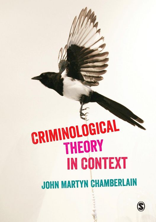 Produktbild: Criminological Theory in Context