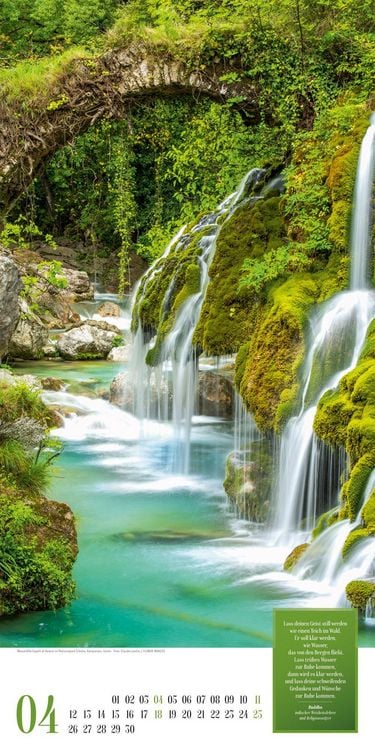Produktbild: Mythos Wald Literatur-Kalender 2027