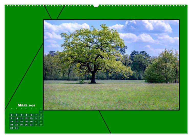 Produktbild: Heilende Farbe Gr&uuml;n (Wandkalender 2026 DIN A2 quer), CALVENDO Monatskalender