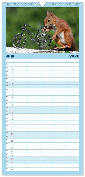 Produktbild: Familienplaner 2026 - Eichh&ouml;rnchen Luna und ihre Kinder mit 5 Spalten (Wandkalender, 21 x 45 cm) CALVENDO