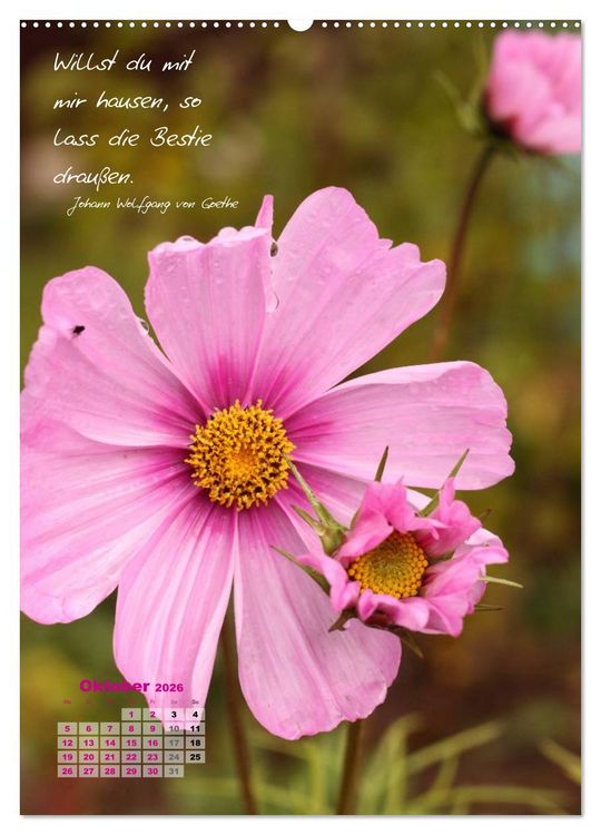 Produktbild: Blumen & Zitate (Wandkalender 2026 DIN A2 hoch), CALVENDO Monatskalender