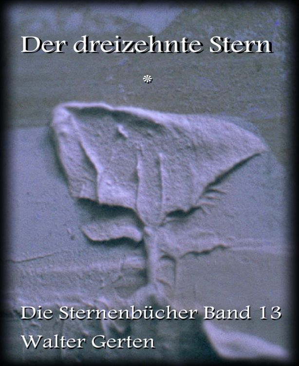 Produktbild: Der dreizehnte Stern