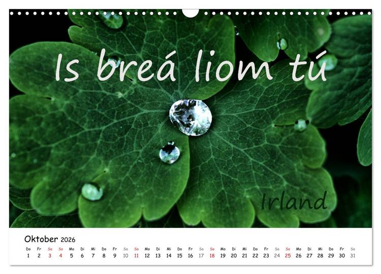 Produktbild: Ich liebe Dich (Wandkalender 2026 DIN A3 quer), CALVENDO Monatskalender