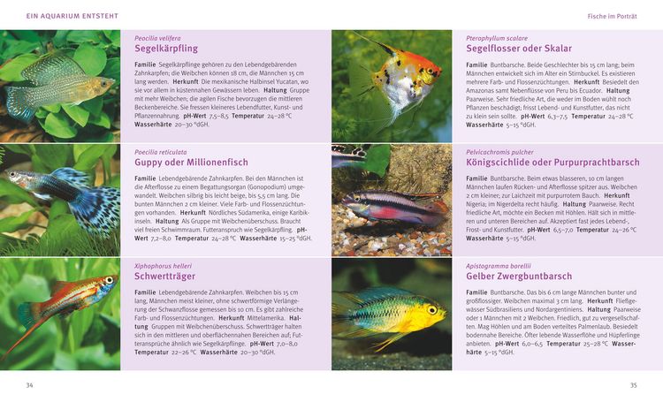 Produktbild: Das Aquarium