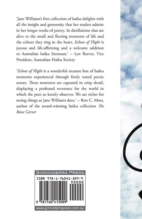 Produktbild: Echoes of flight