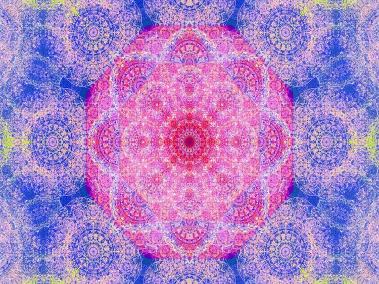 Produktbild: CALVENDO Puzzle Orientalische Orchidee | 1000 Teile Lege-Gr&ouml;&szlig;e 64x48cm Foto-Puzzle f&uuml;r gl&uuml;ckliche Stunden