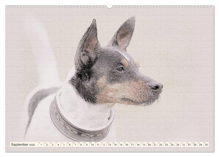 Produktbild: Bodeguero Andaluz 2026 (Wandkalender 2026 DIN A2 quer), CALVENDO Monatskalender