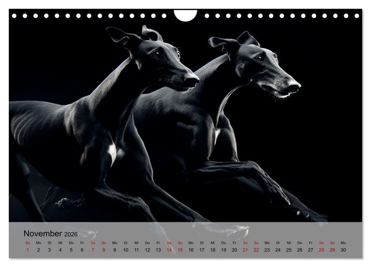 Produktbild: Black is beautiful (Wandkalender 2026 DIN A4 quer), CALVENDO Monatskalender