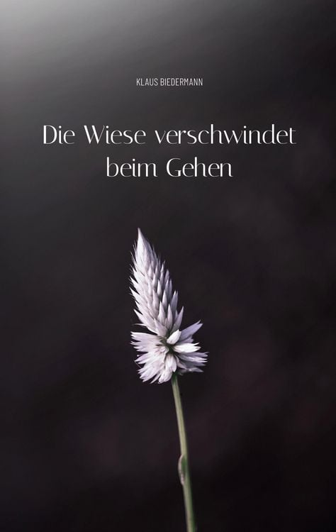Produktbild: Die Wiese verschwindet beim Gehen