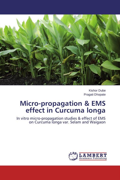 Produktbild: Micro-propagation & EMS effect in Curcuma longa