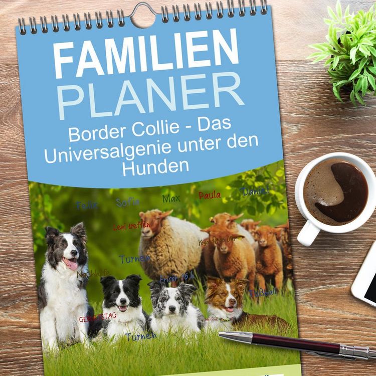 Produktbild: Familienplaner 2026 - Border Collie - Das Universalgenie unter den Hunden mit 5 Spalten (Wandkalender, 21 x 45 cm) CALVENDO