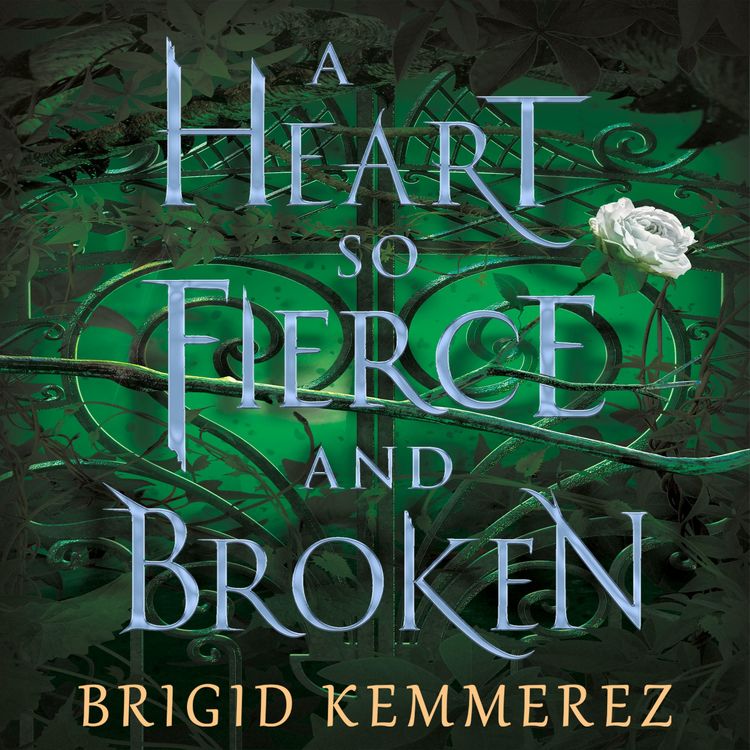 Produktbild: A Heart So Fierce and Broken