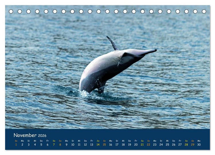 Produktbild: Faszinierende Tierwelt von Mauritius - Magische Momente der Natur (Tischkalender 2026 DIN A5 quer), CALVENDO Monatskalender